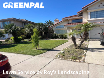 Lawn Cut nearby Tracy, CA, 
