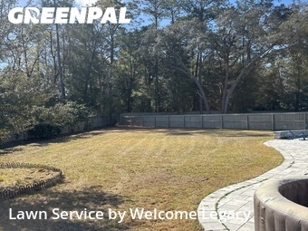 Lawn Cut nearby Gainesville, FL, 