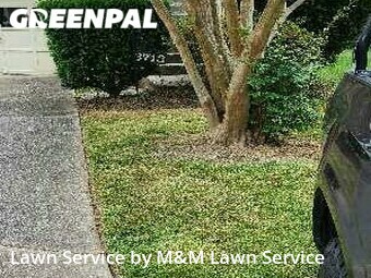 Lawn Cutting nearby Alexandria, VA, 