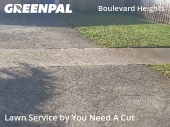 Landscaping Maintenance In Hollywood,33024,Landscaping Maintenance by You Need A Cut , work completed in Dec , 2025