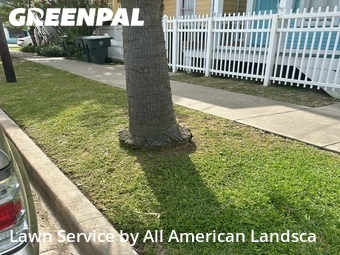 Lawn Service nearby Galveston, TX, 