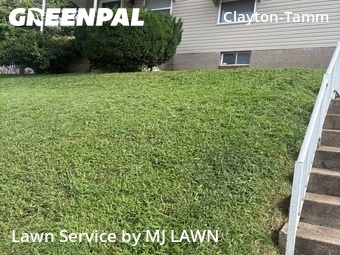 Lawn Cutting nearby St. Louis, MO, 