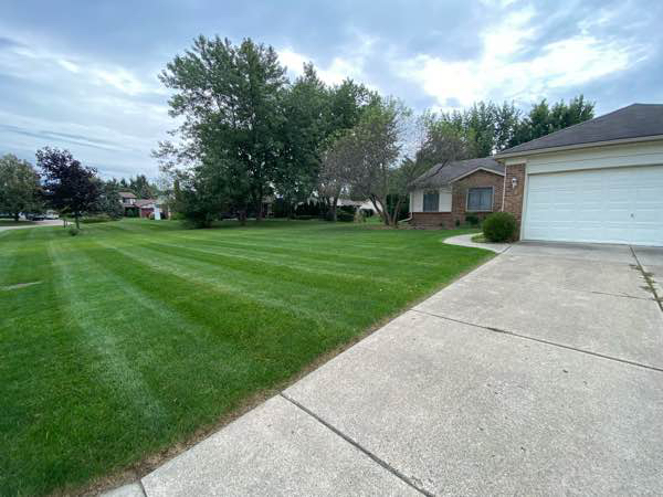 Order Lawn Care in Pontiac, MI, 48342