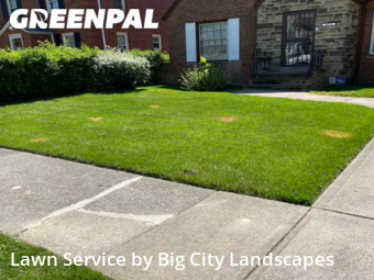 Grass Cut nearby Cleveland Heights, OH, 