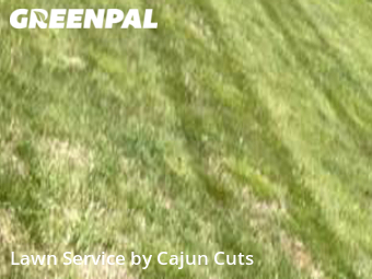 Grass Cutting nearby Murfreesboro, TN, 