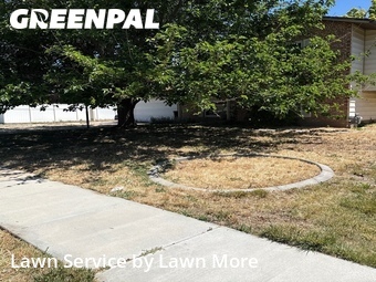 Lawn mowed in Clearfield, 84015