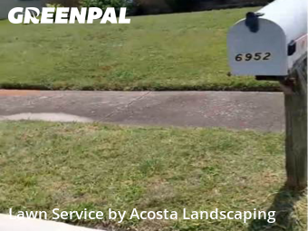 Grass Cut nearby North Richland Hills, TX, 