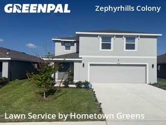 Grass Cut nearby Zephyrhills, FL, 