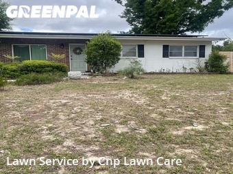 Lawn Cut nearby Temple Terrace, FL, 