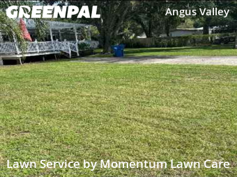 Lawn Cutting nearby Wesley Chapel, FL, 