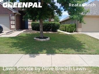 Grass Cut nearby Fort Worth, TX, 