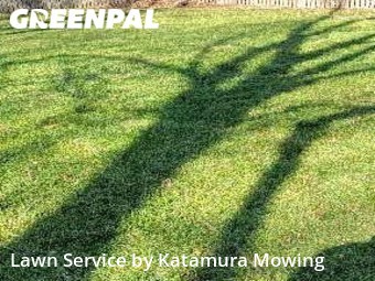 Lawn Cut nearby Blue Springs, MO, 