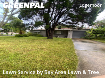 Lawn Mowing nearby St. Petersburg, FL, 