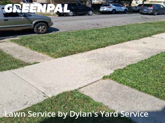 Yard Care in Berwyn, 60402, Lawn Cutting by Dylan's Yard Service , work completed in Nov , 2025