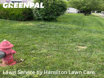 Lawn Maintenance nearby Cicero, IN, 