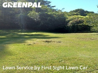 Grass Cut nearby Graysville, AL, 