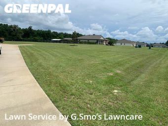 Lawn Cut nearby Newberry, FL, 