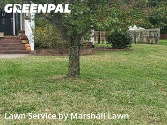 Lawn Cut nearby Chesapeake, VA, 
