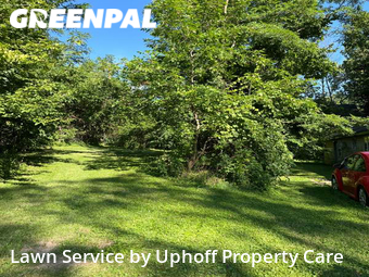 Lawn Mow nearby Mc Farland, WI, 