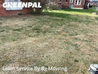 Lawn Cutting nearby Mc Keesport, PA, 