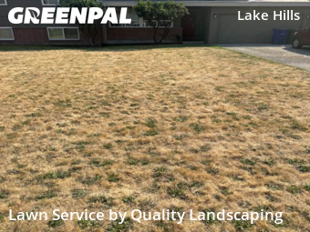 Lawn Mowin Bellevue,98007,Yard Cutting by Quality Landscaping, work completed in Dec , 2025
