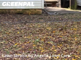 Lawn Mow nearby Lafayette, LA, 