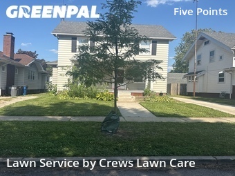 Lawn Cutting nearby Toledo, OH, 