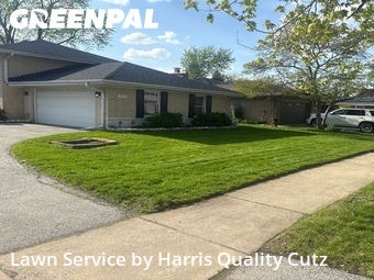 Lawn Cutting nearby South Holland, IL, 