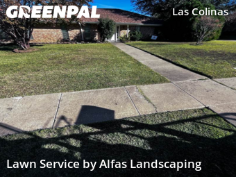 Lawn Maintenancein Irving,75038,Lawn Maintenance by Alfas Landscaping, work completed in Dec , 2025