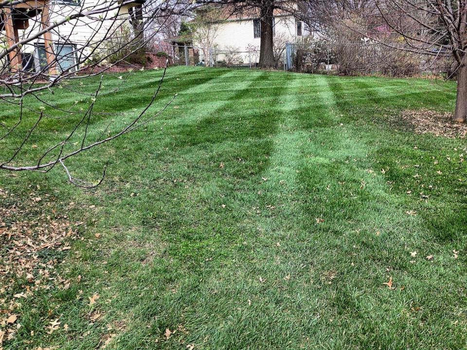 Order Lawn Care in Murfreesboro, TN, 37129