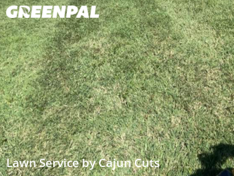 Lawn Mowing nearby Murfreesboro, TN, 