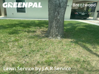Lawn Mowing Service nearby Austin, TX, 