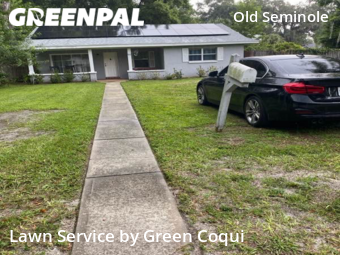 Lawn Cutting nearby Tampa, FL, 