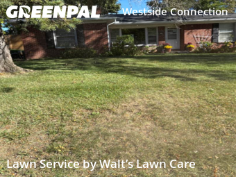 Lawn Cutting nearby Grand Rapids, MI, 