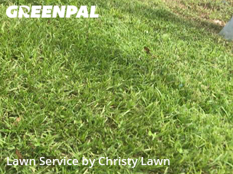 Yard Mowing nearby The Villages, FL, 