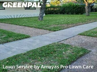 Lawn Care nearby Corpus Christi, TX, 