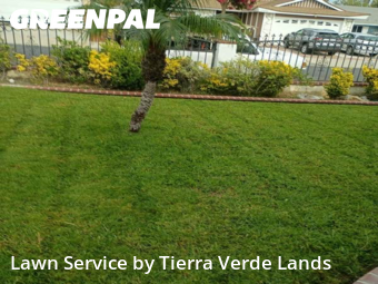 Work completed by local-lawn-and-landscape-maintenance-services-near-me-in-Carson-CA