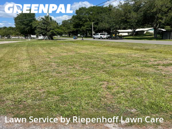 Lawn Cutting nearby Lutz, FL, 