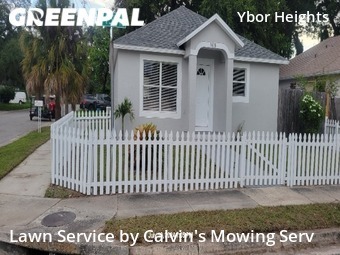 Lawn Mow nearby Tampa, FL, 