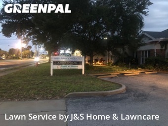 Lawn Cut nearby Clearwater, FL, 