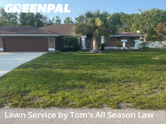 Yard Mowing nearby Spring Hill, FL, 