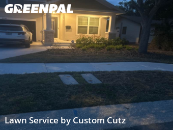 Yard Cutting nearby St. Petersburg, FL, 