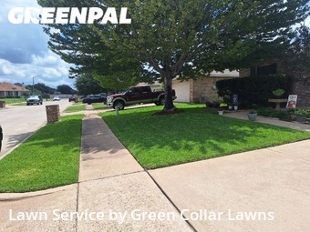 Grass Cut nearby Grand Prairie, TX, 