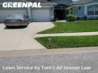 Yard Cutting nearby Spring Hill, FL, 