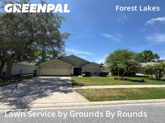 Grass Cut nearby Port Orange, FL, 