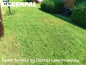 Lawn Services in Greenville, 29611, Lawn Care by Davids Lawnmowing , work completed in Nov , 2025