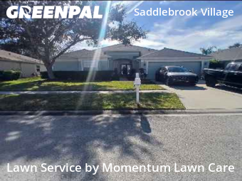 Yard Mowing nearby Wesley Chapel, FL, 