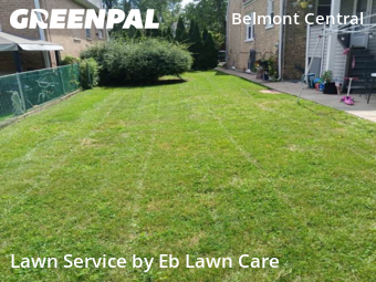 Yard Cutting nearby Chicago, IL, 