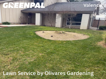 Work completed by residential-lawn-cutting-businesses-in-Santa Clarita-CA
