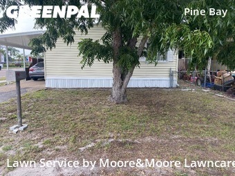 Lawn Mowing Service nearby St. Petersburg, FL, 